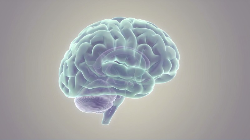 Can Logic and Knowledge Defeat Fear of Flying?