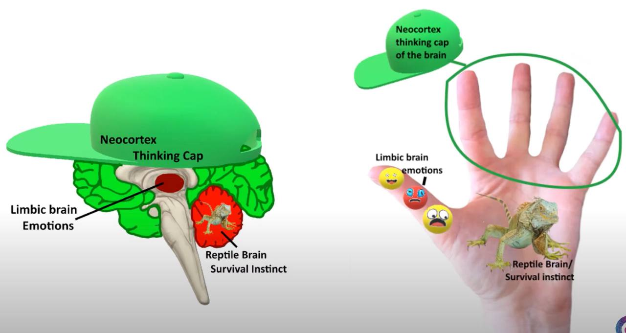 The Hand Model: Who is Flying the Plane (In Your Head)?